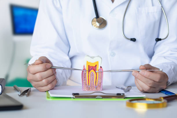 Best Emergency Root Canal Treatment in Colstrip, MT